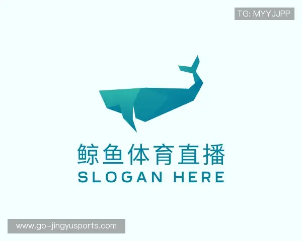 解读鲸鱼体育直播